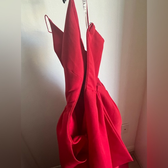 Sachin + Babi Red Evening Gown - Picture 15 of 16